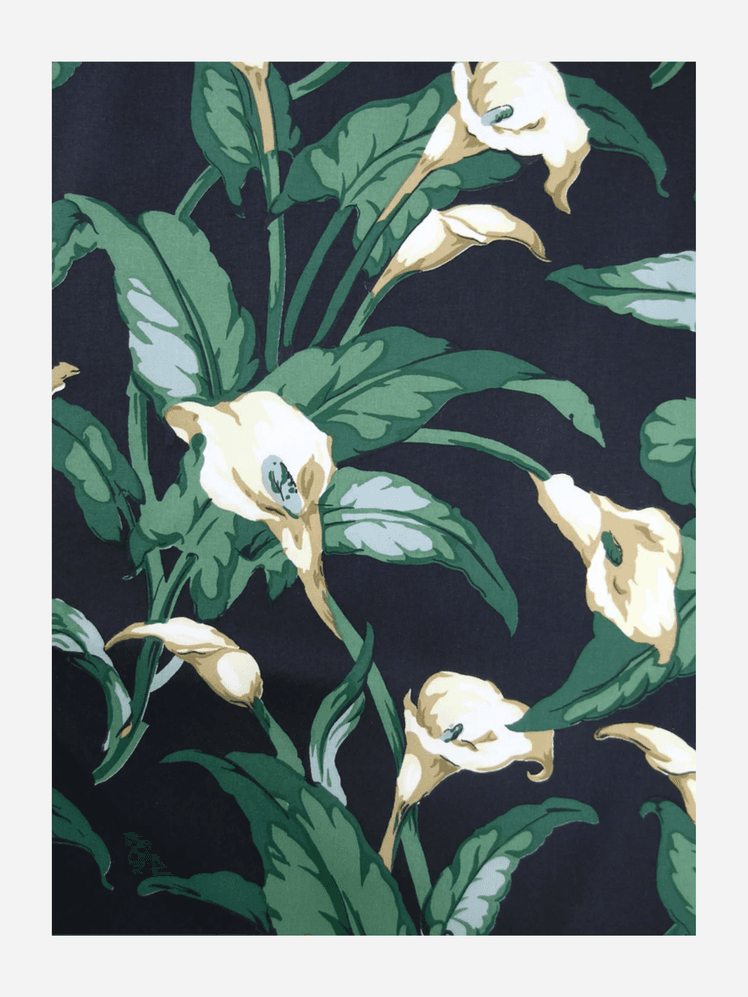 Image may contain: Plant, Pattern, Art, Flower, Painting, Floral Design, Graphics, and Rose